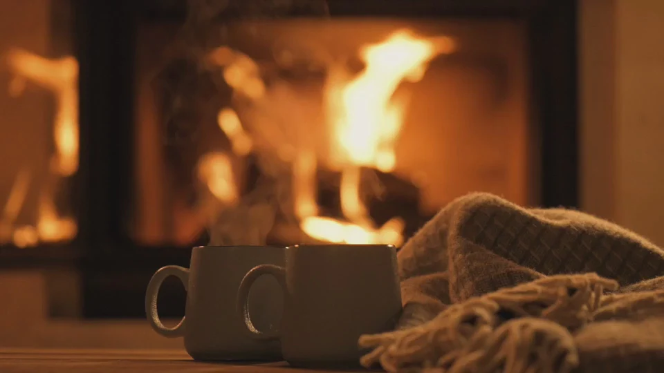 Premium Fuel for Perfect Fires